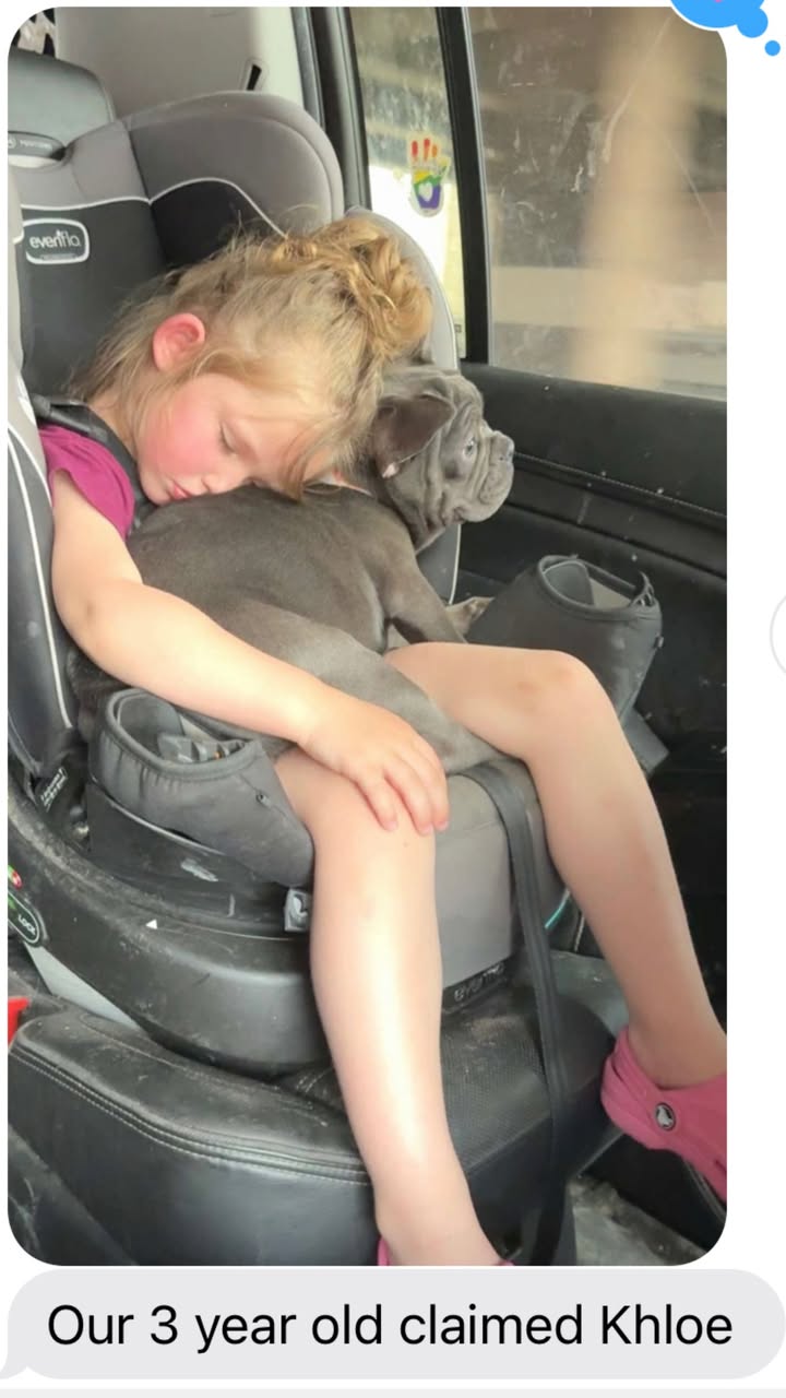 amanda frenchies (60)